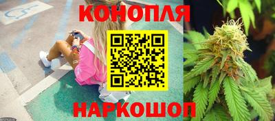 твердый Пугачёв
