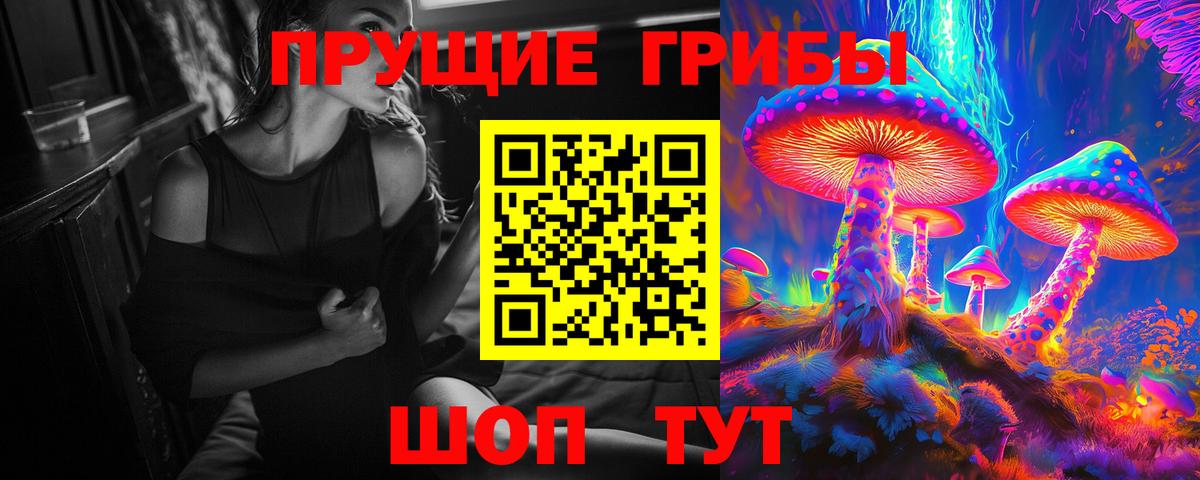 Псилоцибиновые грибы Cubensis Отрадное