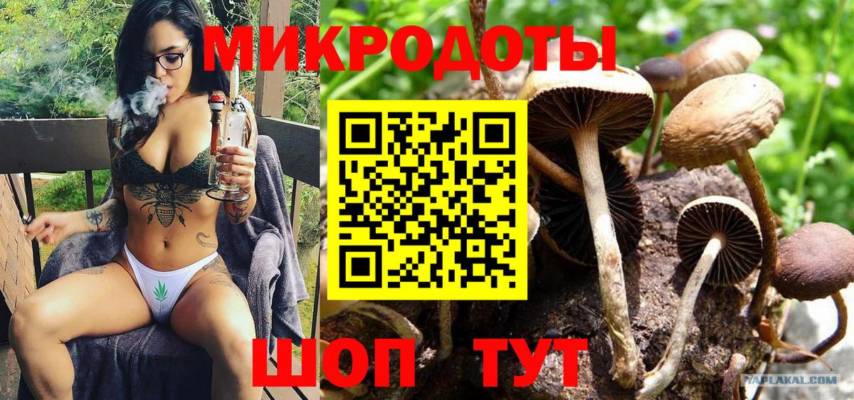Псилоцибиновые грибы Cubensis  Вход с VPN  Отрадное 